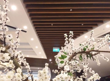 LAM NHỰA GỖ VIỆT NAM
